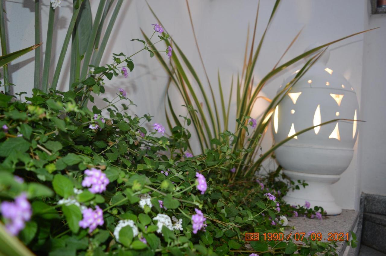 Bed And Breakfast Villa Tota カタンザーロ エクステリア 写真